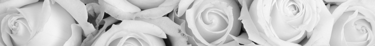 regulation in the funeral plan sector