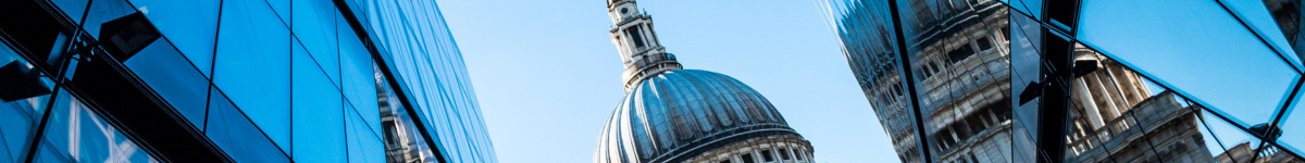 Scope of the insurance market