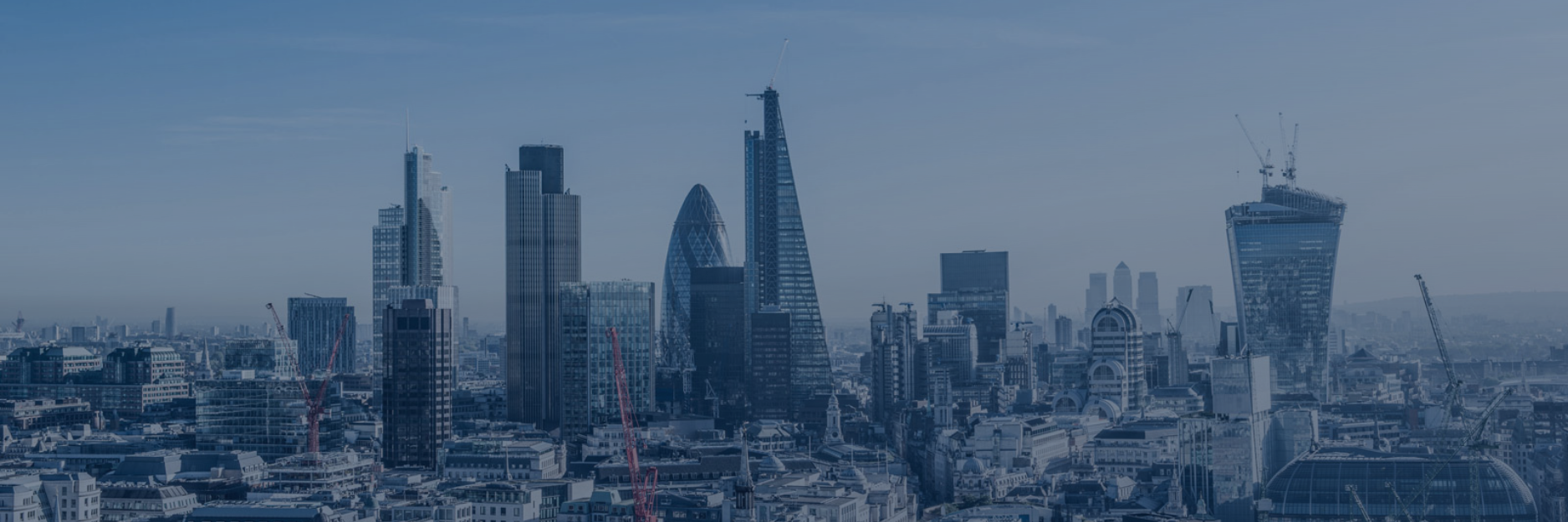 London's skyscrapers as our main REG Reviews newsletter's image