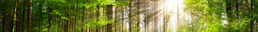 The House of Lords has approved an amendment to the UK Financial Services and Markets Bill, integrating nature into the net-zero emissions regulation. The amendment requires the Prudential Regulation Authority and FCA to address climate change and biodiversity loss in their oversight.