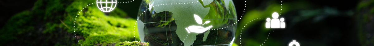 defining sustainability reporting