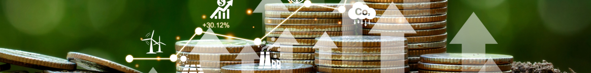 benefits of sustainability reporting