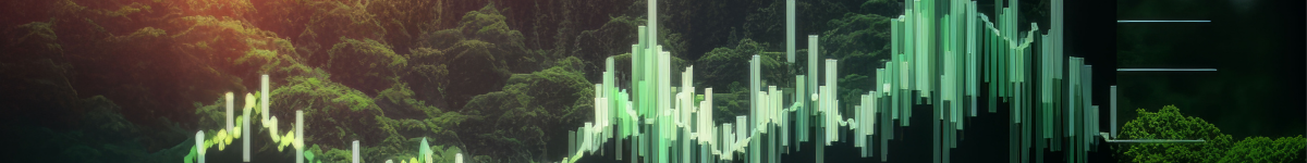 sustainability reporting journey
