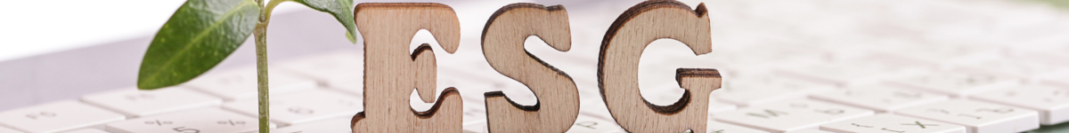 ESG principles and sustainability reporting
