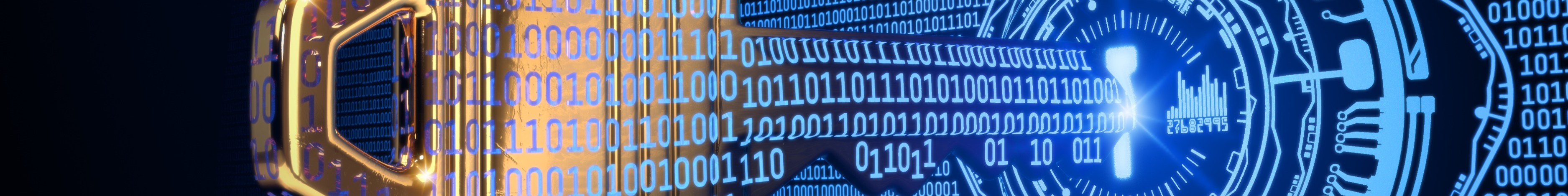 Cyber risk management